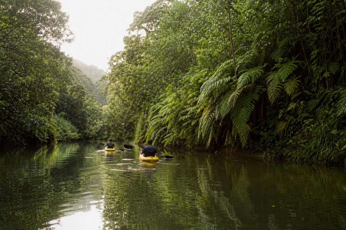 Kayaks on the calm green water of the Wailua River on Kauai heading toward Secret Falls